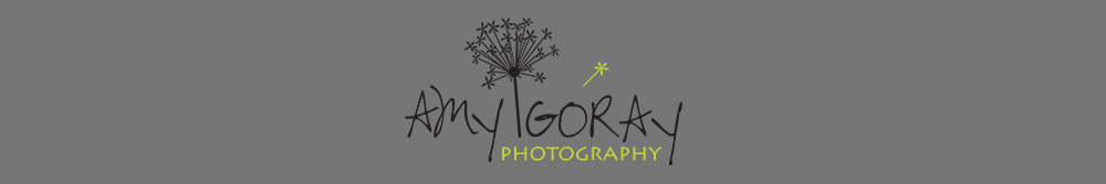 Amy Goray Photography logo