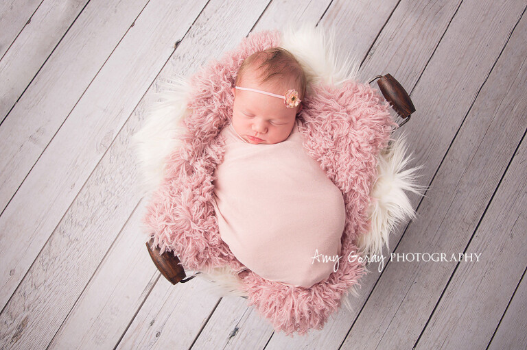 Clasey-6 copy